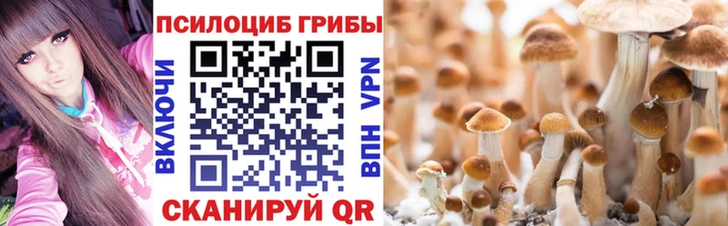 Галлюциногенные грибы ЛСД  Купить  Наволоки 