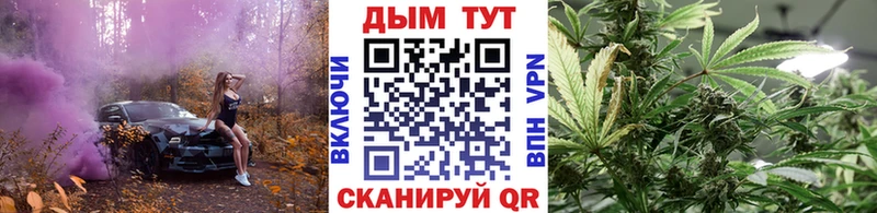 Бошки марихуана SATIVA & INDICA  Купить  Наволоки 
